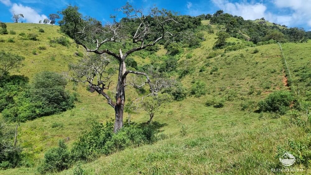 Terreno, 8 hectares - Foto 16