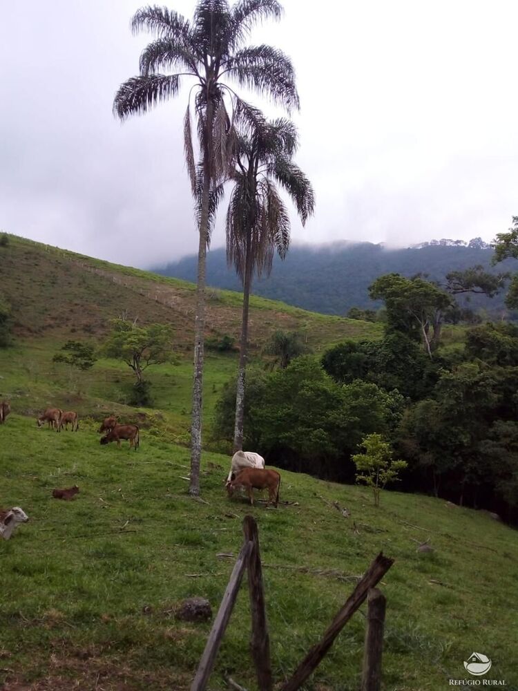 Terreno, 8 hectares - Foto 24