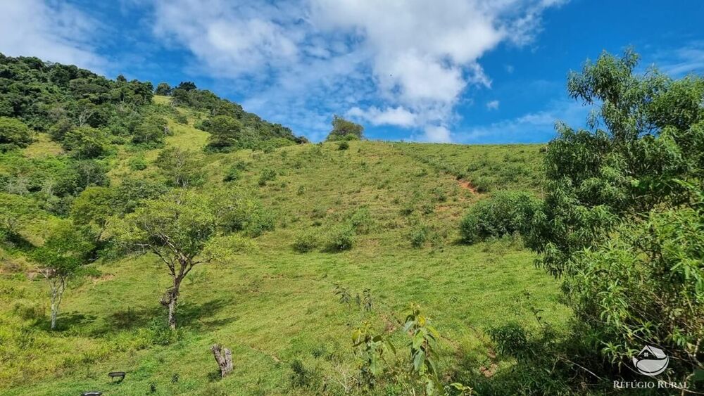 Terreno, 8 hectares - Foto 25