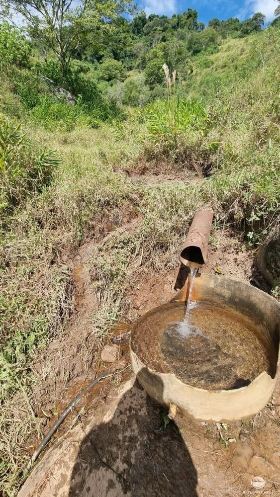 Terreno, 8 hectares - Foto 6