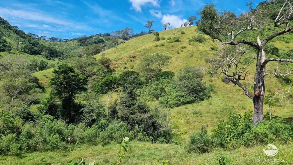 Terreno, 8 hectares - Foto 11