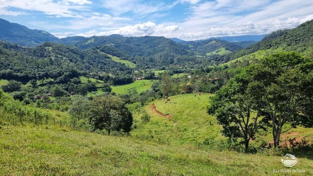 Terreno, 8 hectares - Foto 8