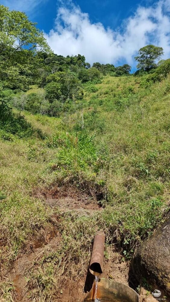 Terreno, 8 hectares - Foto 19