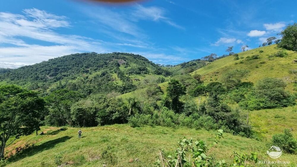 Terreno, 8 hectares - Foto 10