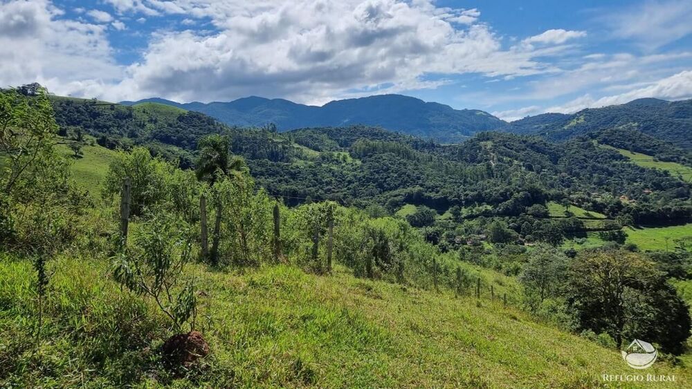 Terreno, 8 hectares - Foto 7