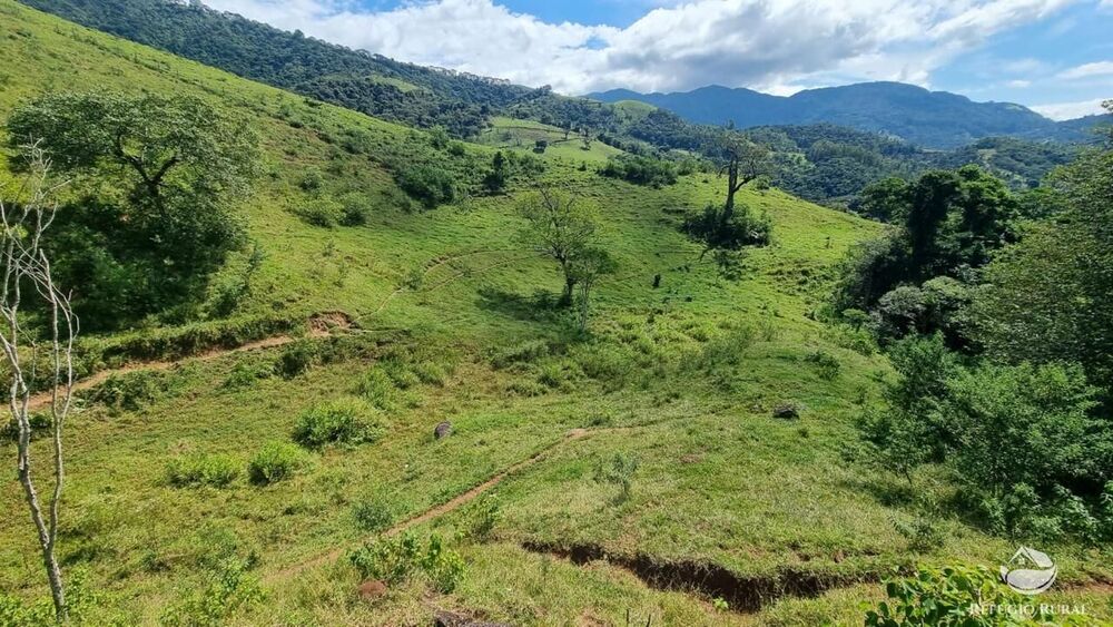 Terreno, 8 hectares - Foto 14