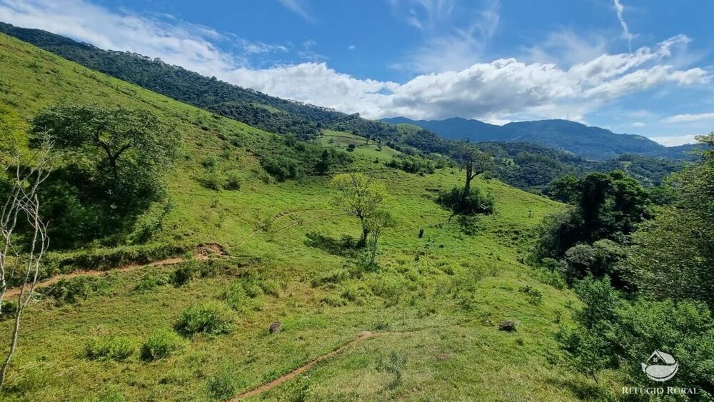 Terreno, 8 hectares - Foto 17