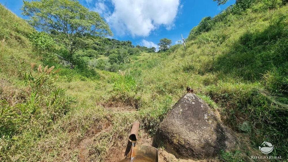 Terreno, 8 hectares - Foto 9