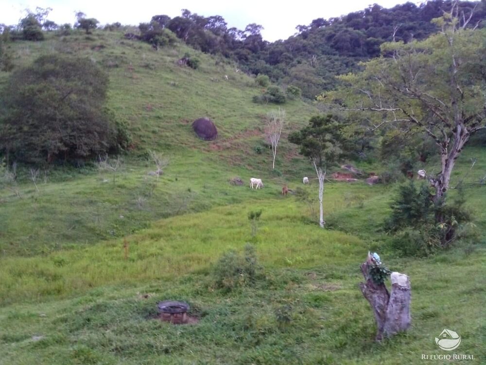 Terreno, 8 hectares - Foto 26