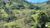 Terreno, 17 hectares - Foto 4