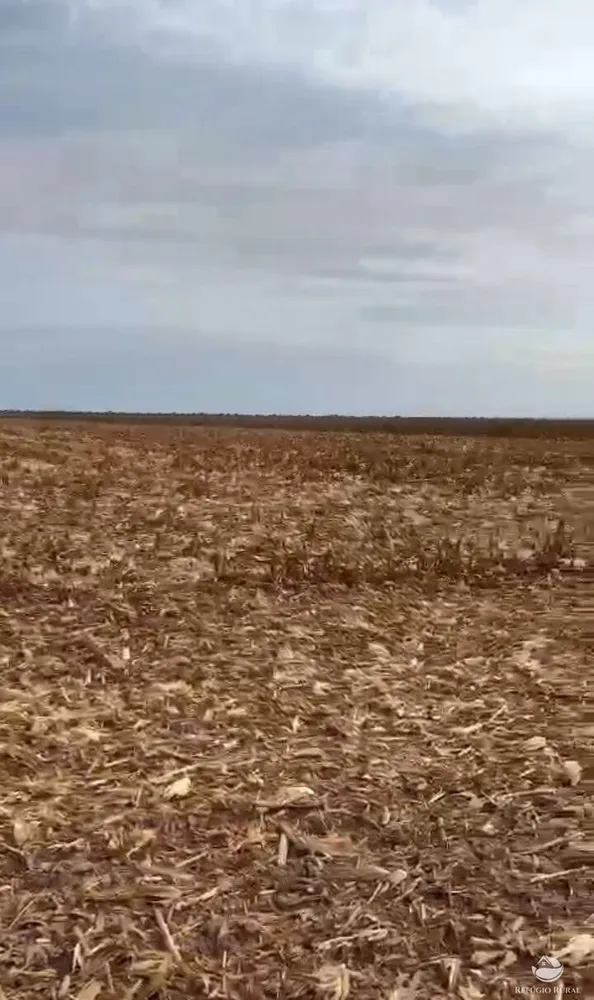Fazenda, 3978 hectares - Foto 1