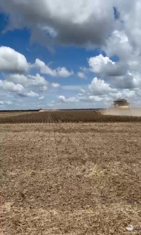 Fazenda à venda com 1 quarto, 39784800m² - Foto 1
