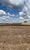 Fazenda-Sítio-Chácara, 3978 hectares - Foto 1