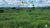 Fazenda-Sítio-Chácara, 7000 hectares - Foto 3