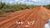 Fazenda-Sítio-Chácara, 7000 hectares - Foto 4