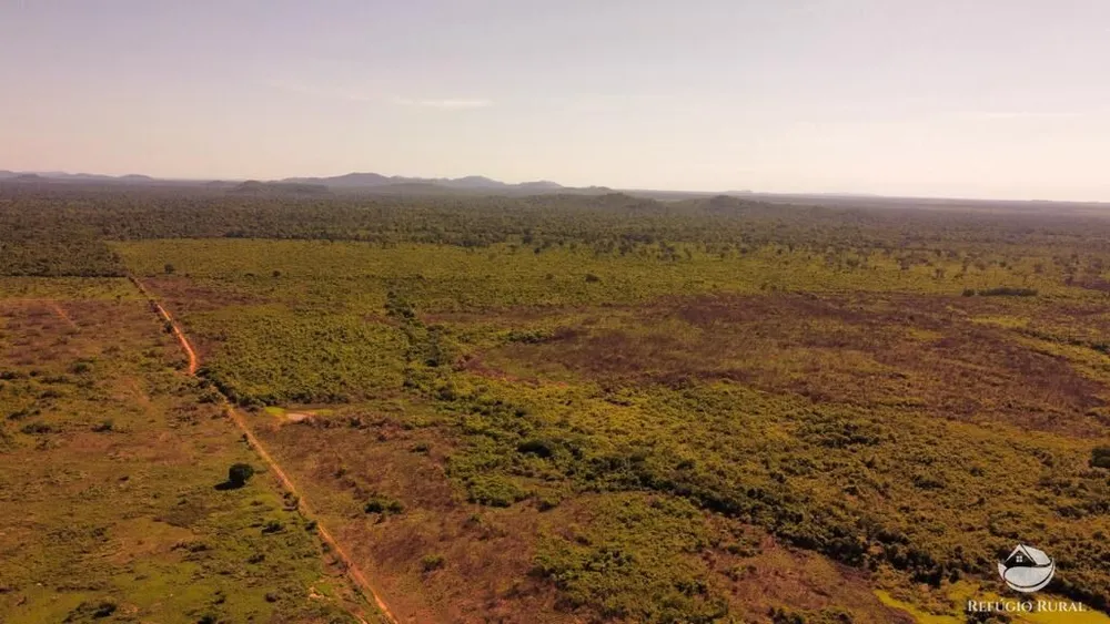 Fazenda, 2995 hectares - Foto 3
