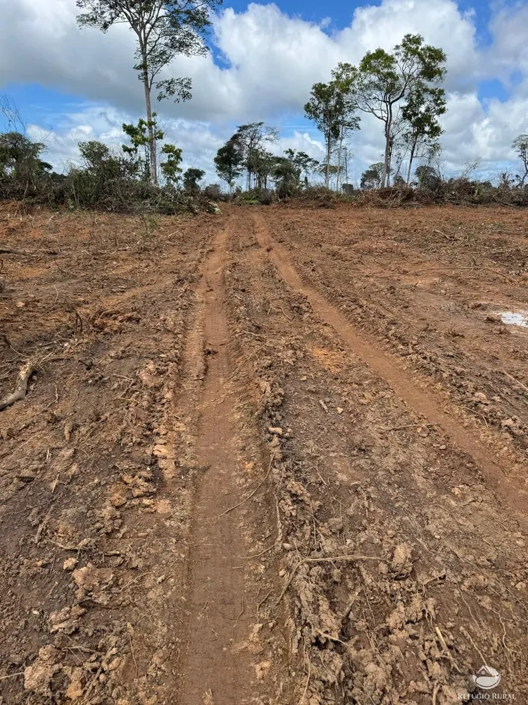 Fazenda, 2995 hectares - Foto 10