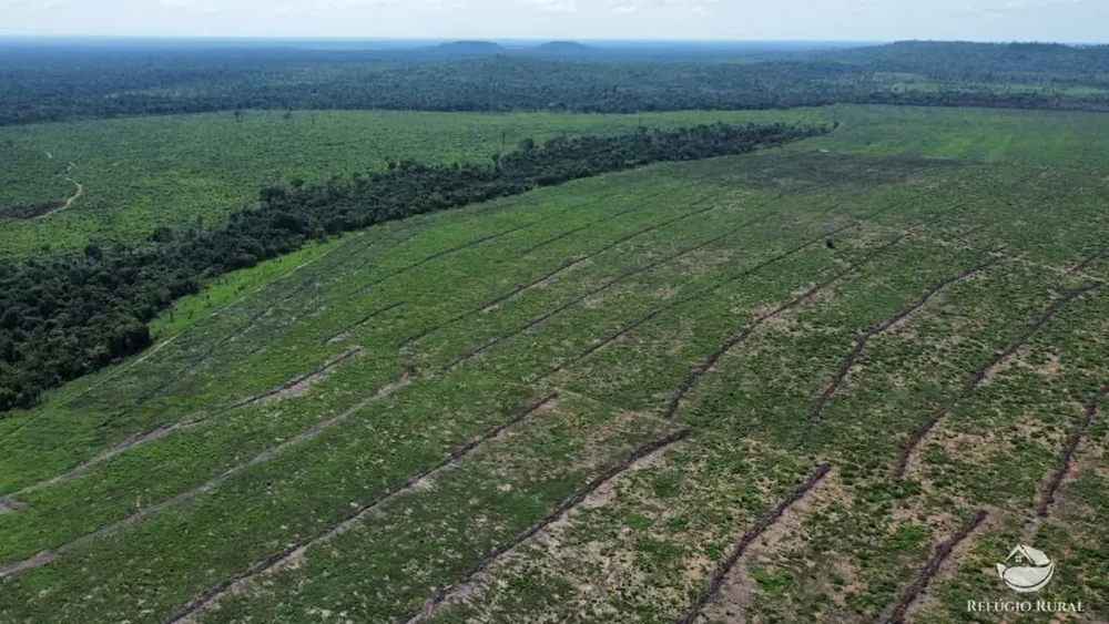 Fazenda, 2995 hectares - Foto 4