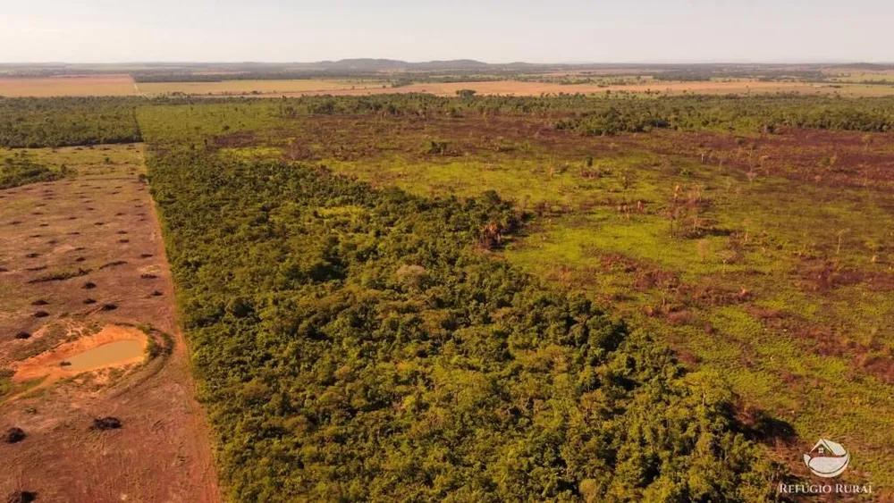 Fazenda, 2995 hectares - Foto 2