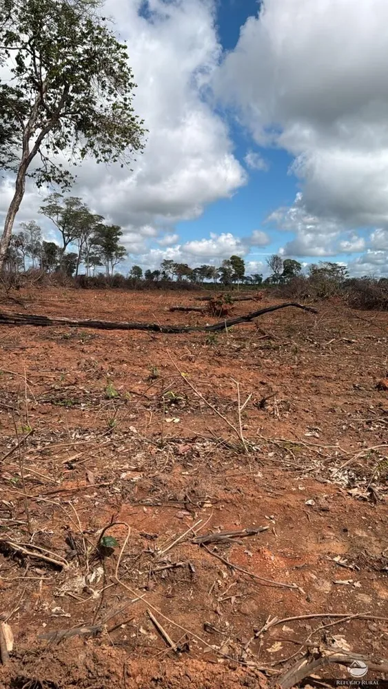 Fazenda, 2995 hectares - Foto 9