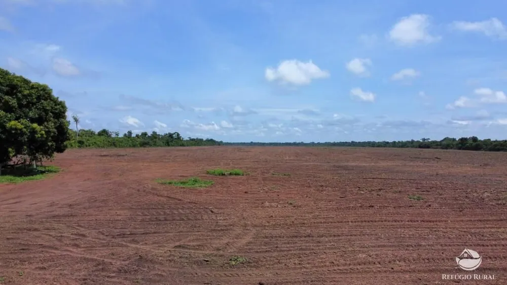Fazenda, 2995 hectares - Foto 11