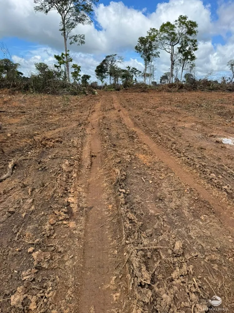 Fazenda, 2995 hectares - Foto 12