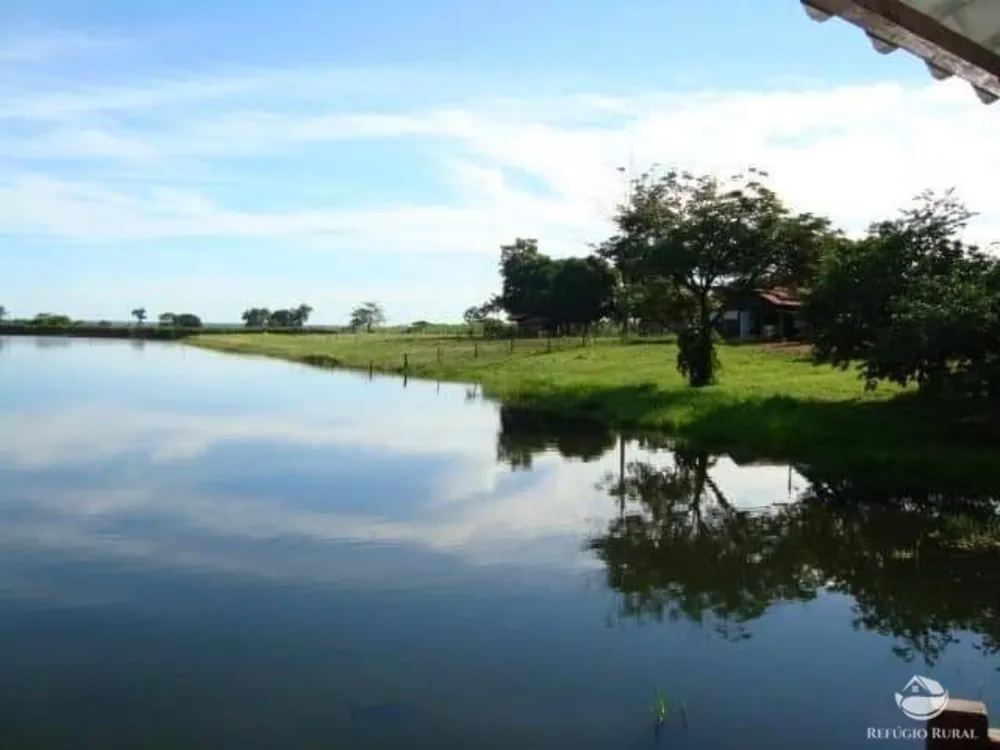 Fazenda, 6000 hectares - Foto 8