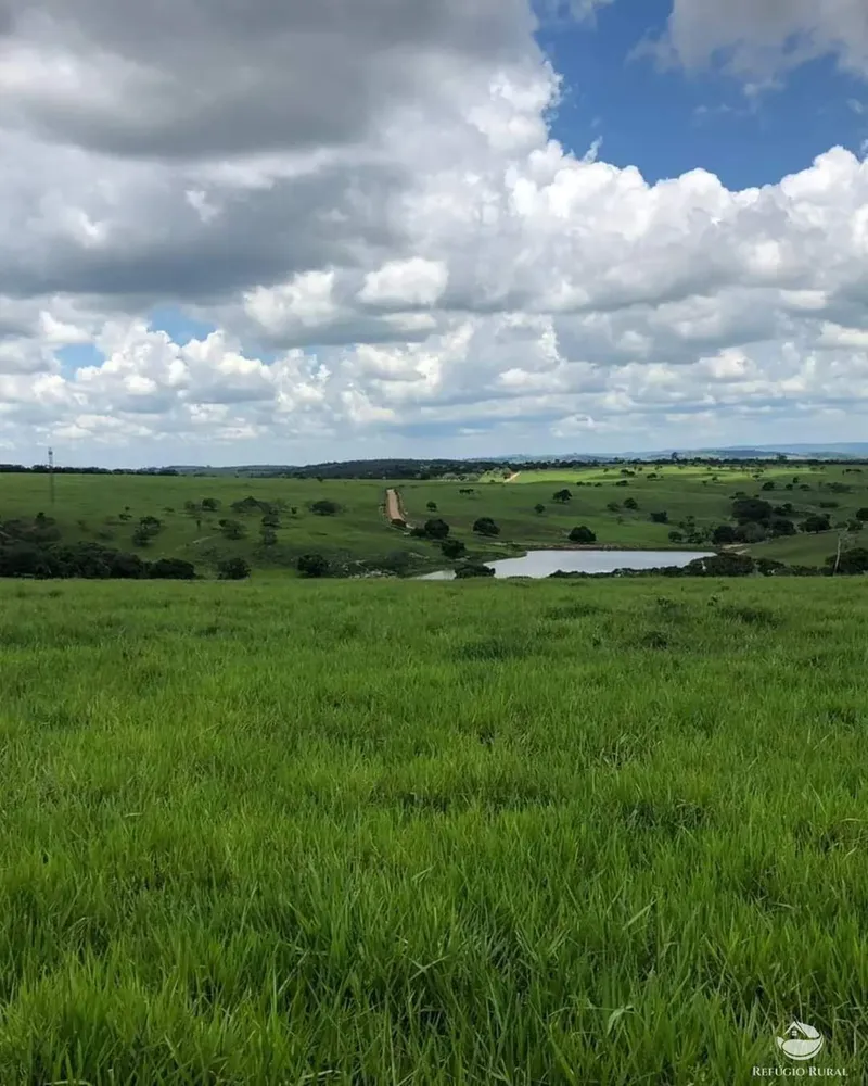 Fazenda, 6000 hectares - Foto 7
