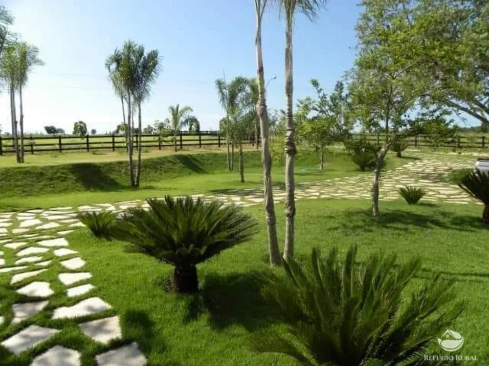 Fazenda, 6000 hectares - Foto 6