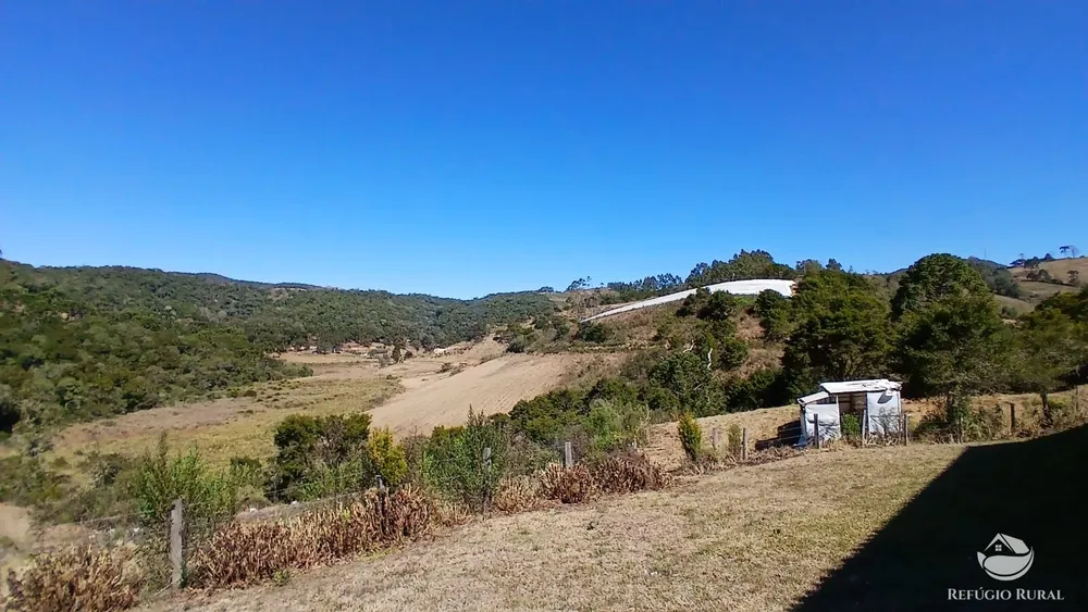 Sítio, 10 hectares - Foto 16