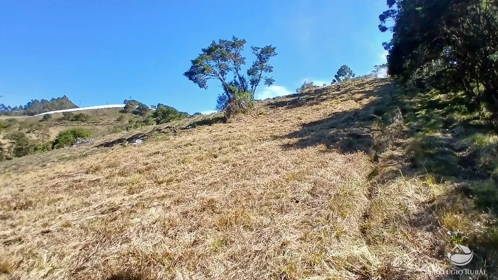 Sítio, 10 hectares - Foto 9