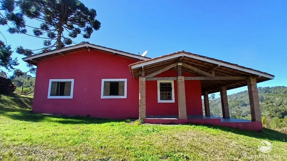 Sítio, 10 hectares - Foto 1