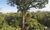 Fazenda, 678 hectares - Foto 3