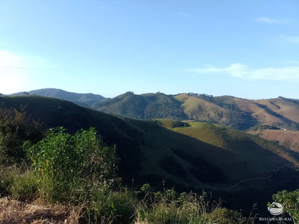 Terreno, 4 hectares - Foto 9