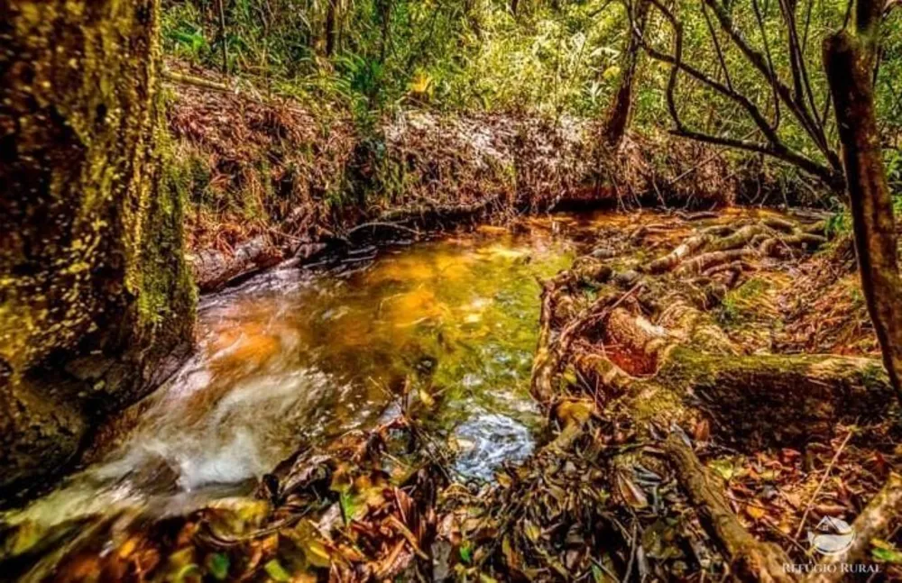 Fazenda, 171 hectares - Foto 12