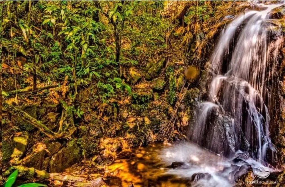Fazenda, 171 hectares - Foto 4