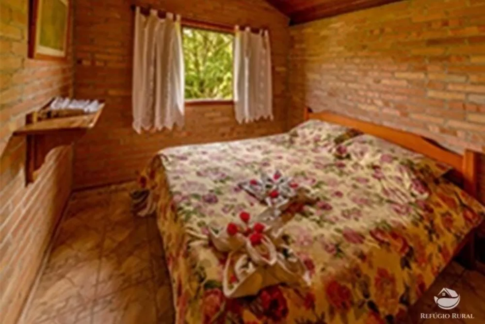 Fazenda, 171 hectares - Foto 3