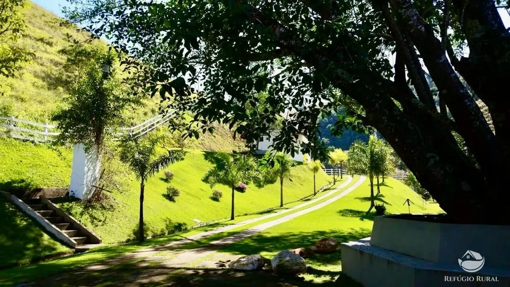 Sítio, 45 hectares - Foto 4
