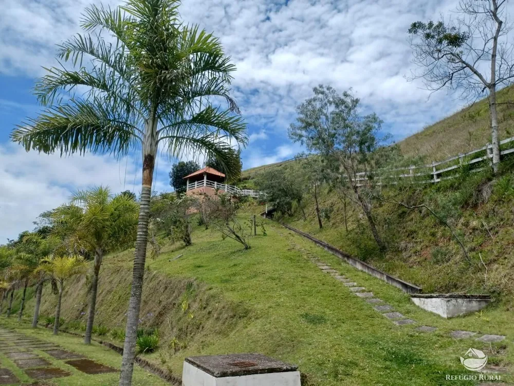 Sítio, 45 hectares - Foto 11