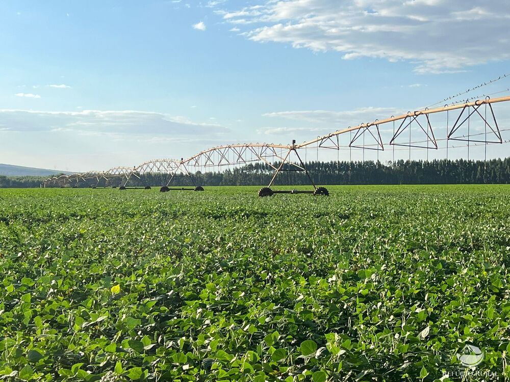Fazenda à venda com 7 quartos, 25800000m² - Foto 17