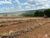 Fazenda-Sítio-Chácara, 2580 hectares - Foto 11