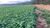 Fazenda-Sítio-Chácara, 2580 hectares - Foto 20