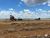 Fazenda-Sítio-Chácara, 2580 hectares - Foto 15