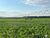 Fazenda-Sítio-Chácara, 2580 hectares - Foto 17