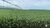 Fazenda-Sítio-Chácara, 2580 hectares - Foto 7
