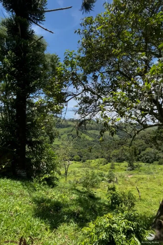 Terreno, 11 hectares - Foto 4