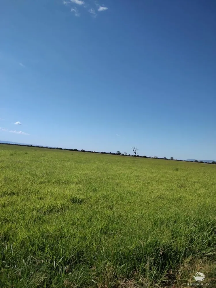 Fazenda, 4859 hectares - Foto 15
