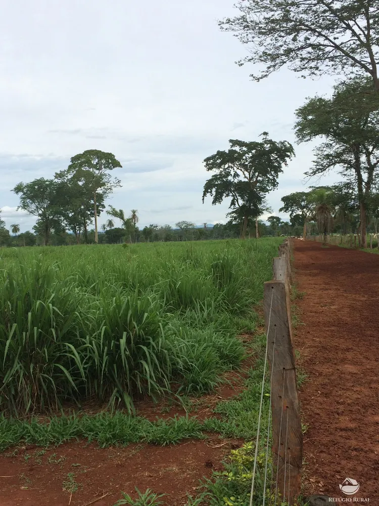 Fazenda, 4859 hectares - Foto 12