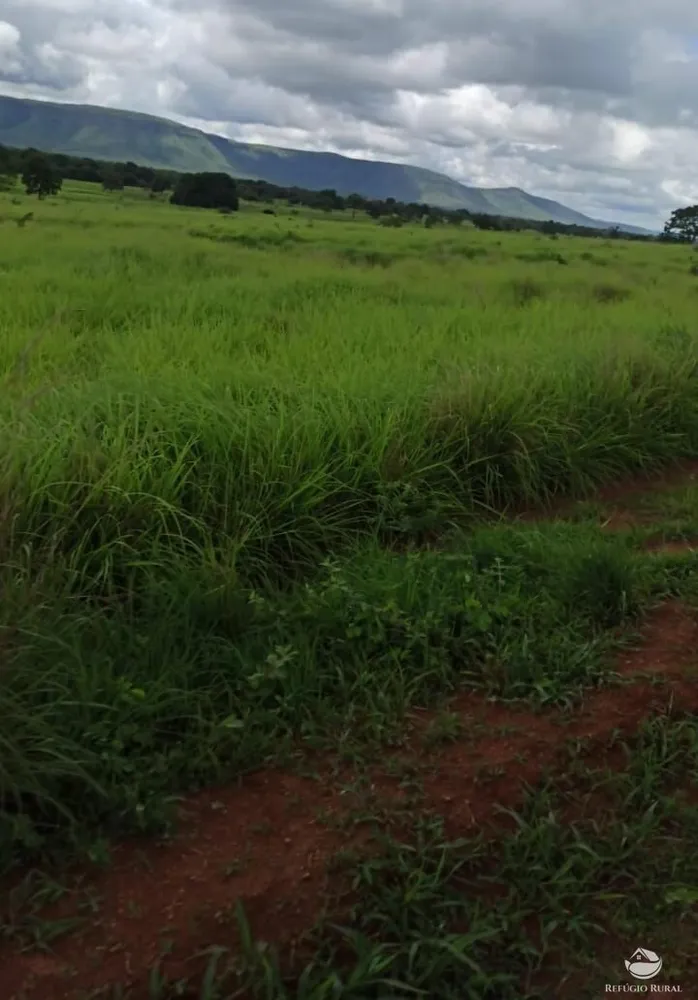 Fazenda, 4859 hectares - Foto 3
