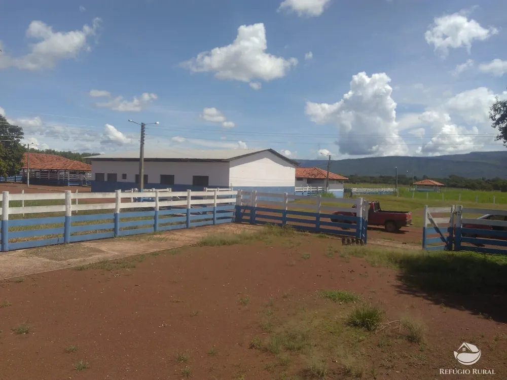 Fazenda, 4859 hectares - Foto 10